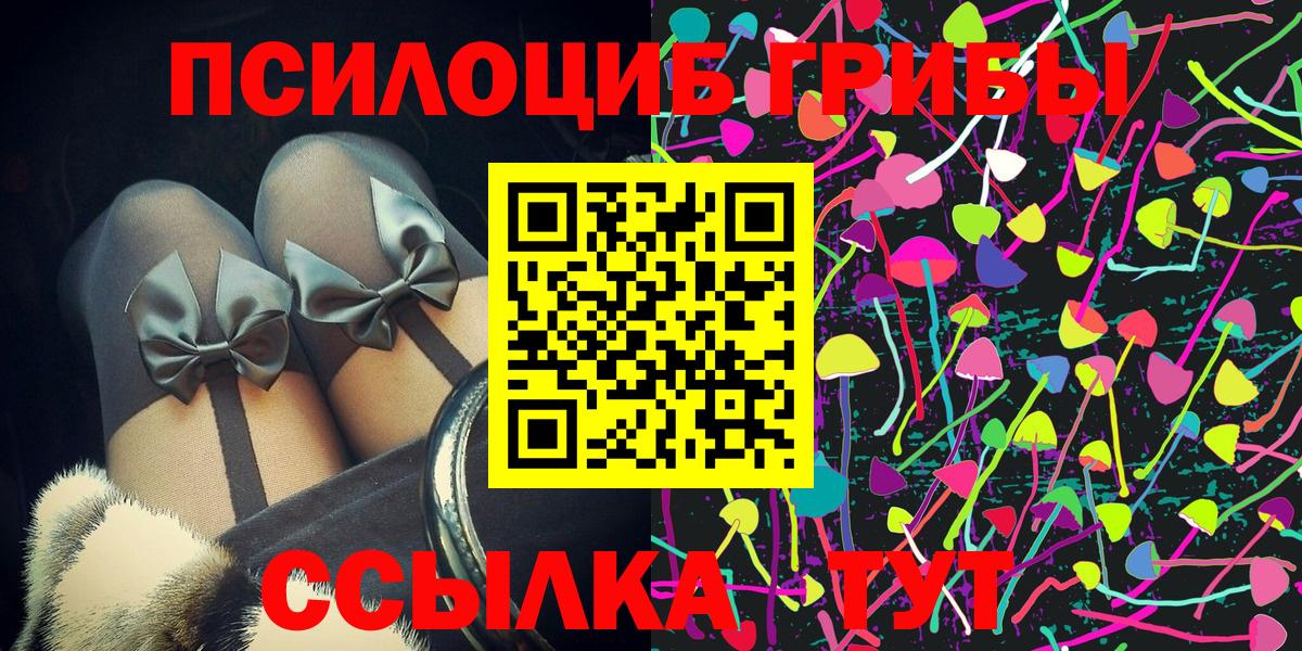Псилоцибиновые грибы Cubensis Кирово-Чепецк