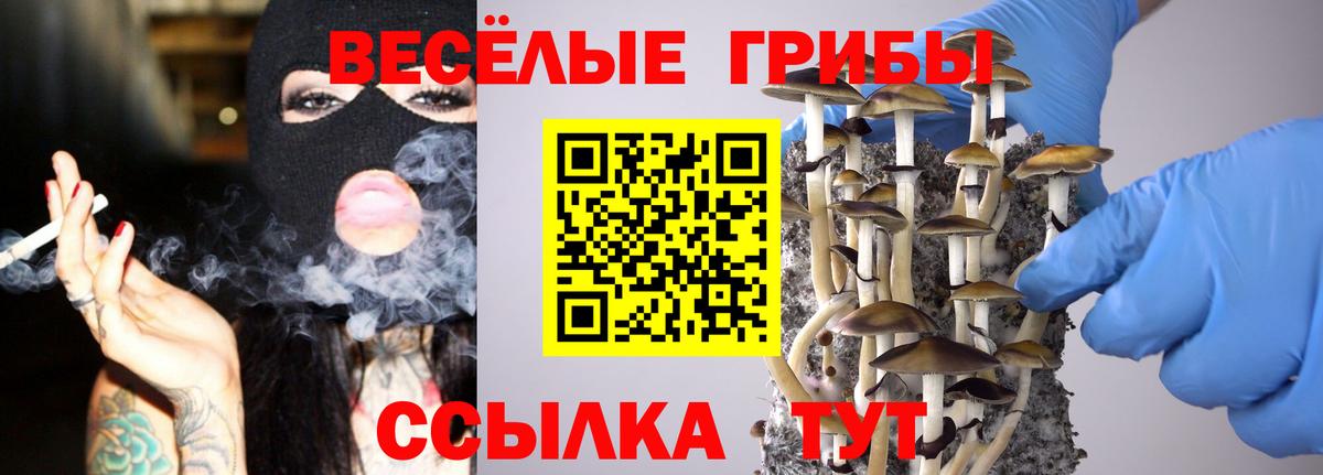 Кирово-Чепецк  Псилоцибиновые грибы ЛСД  Вход с VPN 